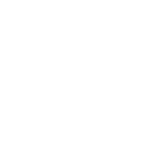 NELSOU logo